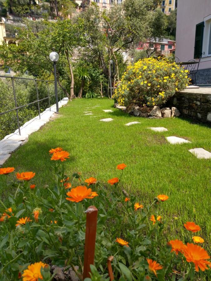 VILLINO BRUNETTO azienda agrituristica Camogli Exterior foto