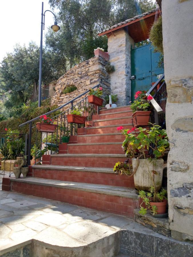 VILLINO BRUNETTO azienda agrituristica Camogli Exterior foto